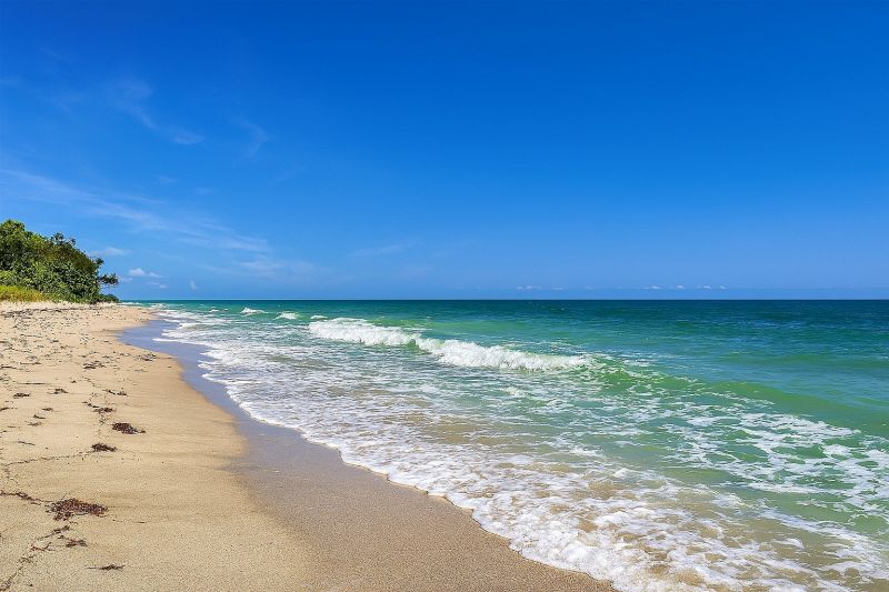 Best Tub To Shower Conversion pros in Dunedin, FL