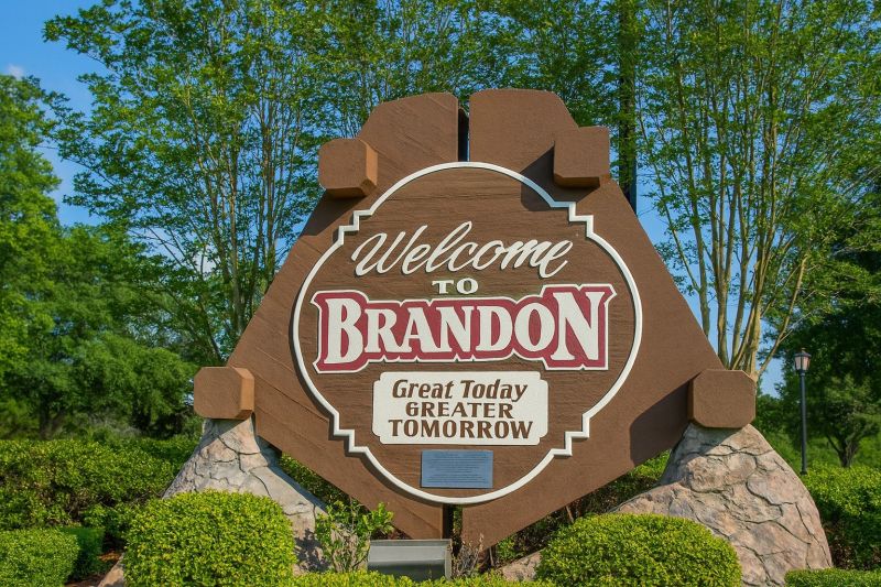 Best Tub To Shower Conversion pros in Brandon, FL